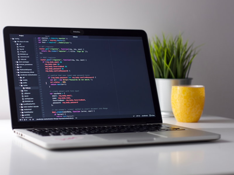 CMS Development